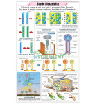 Physics (II) Charts